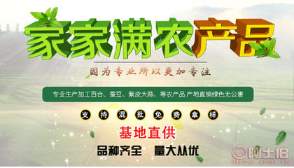 【甘肅廠家直銷優(yōu)質(zhì)紫皮獨頭蒜天然大蒜綠色安全大蒜食品蔬菜