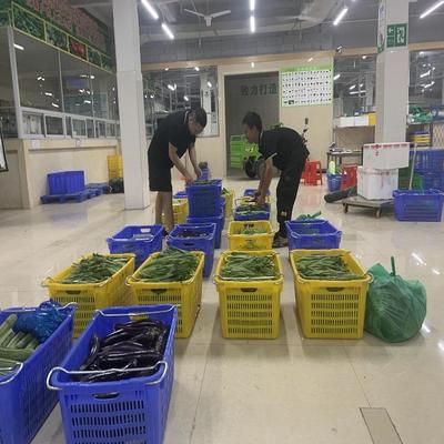坑梓蔬菜配送公司 批發(fā)蔬菜公司 _大型的蔬菜配送中心_蔬菜種植基地
