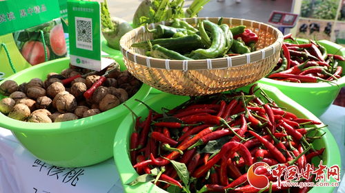 蘭州市西固區(qū)舉辦2024年中國農(nóng)民豐收節(jié)慶祝活動